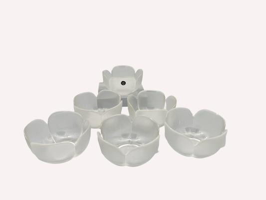 6 Glasschalen Dessertschalen Rosenthal Bjorn Wiinblad TOP